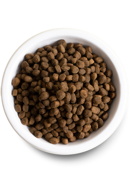 Open Farm Ancient Grains Homestead Turkey Dry Dog Food