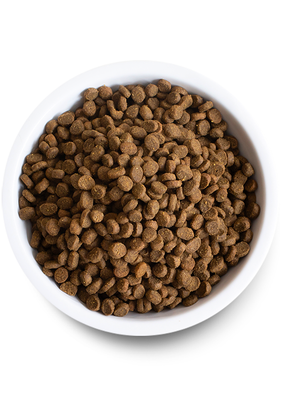 Open Farm Cat Grain Free Homestead Turkey and Chicken Dry Food