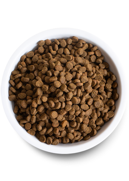 Open Farm Cat Grain Free Homestead Turkey and Chicken Dry Food