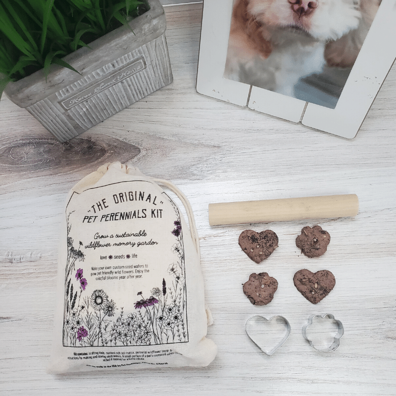 Pet Perennials Memory Garden Kit