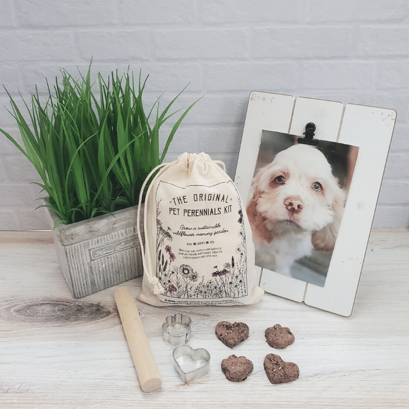 Pet Perennials Memory Garden Kit
