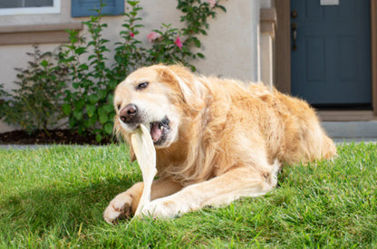 Barking Buddha Dog Peanut Butter Cow Ear Treat