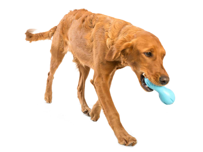 West Paw Qwizl Treat Dispensing Dog Chew Toy