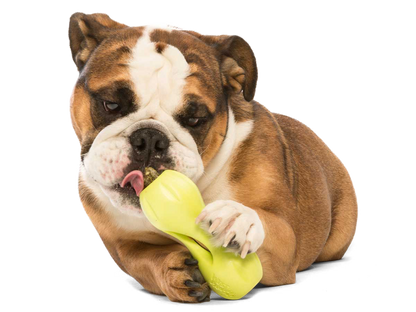 West Paw Qwizl Treat Dispensing Dog Chew Toy
