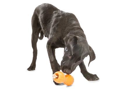 West Paw Qwizl Treat Dispensing Dog Chew Toy