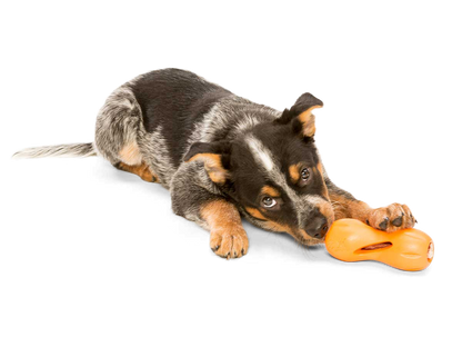 West Paw Qwizl Treat Dispensing Dog Chew Toy