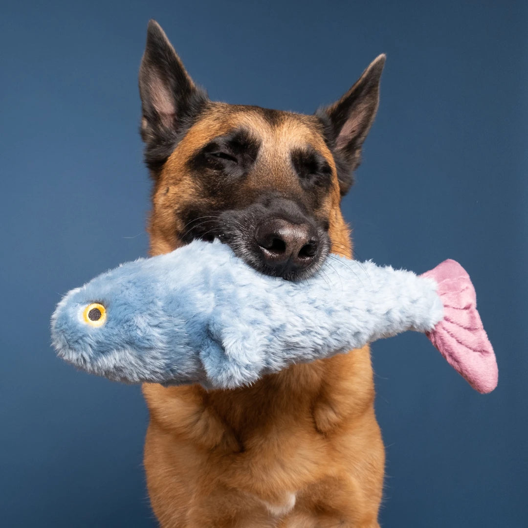 Fluff & Tuff "Fitz" - Fish Plush Dog Toy
