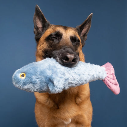 Fluff & Tuff "Fitz" - Fish Plush Dog Toy