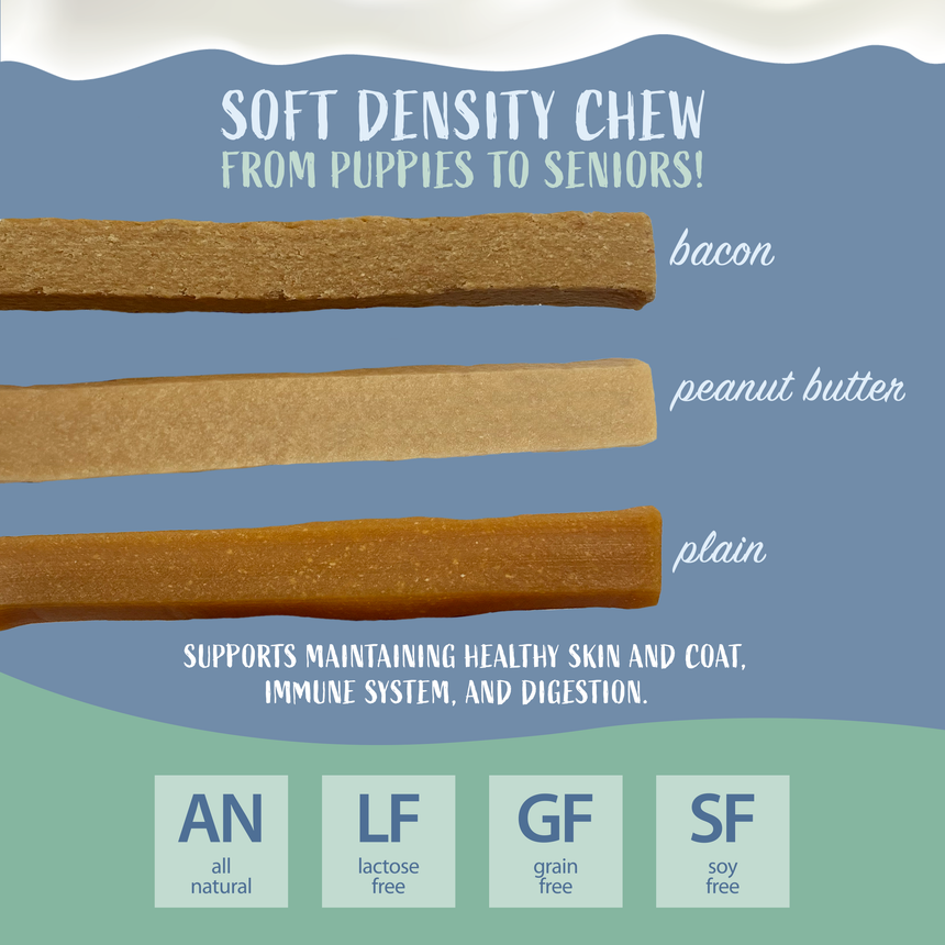 Himalayan Dog Yogurt Stick Treats, Pumpkin