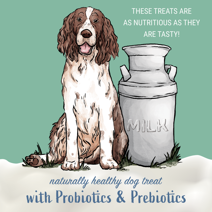 Himalayan Dog Yogurt Stick Treats, Pumpkin