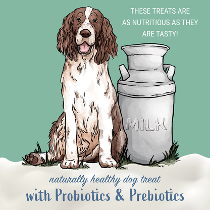 Himalayan Dog Yogurt Stick Treats, Pumpkin