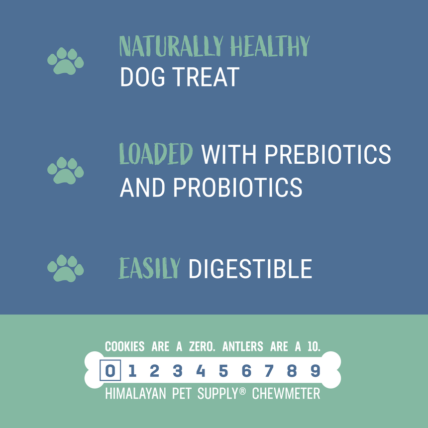 Himalayan Dog Yogurt Stick Treats, Pumpkin