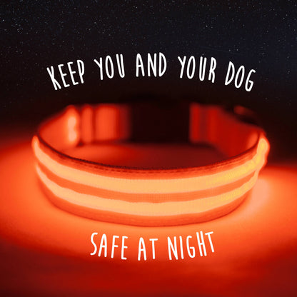Mighty Paw LED Dog Collar
