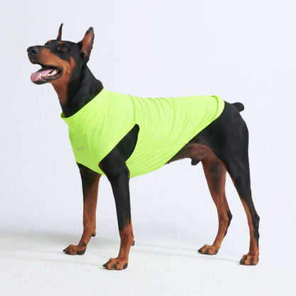 Spark Paws Sunblock Dog T-Shirt - Neon