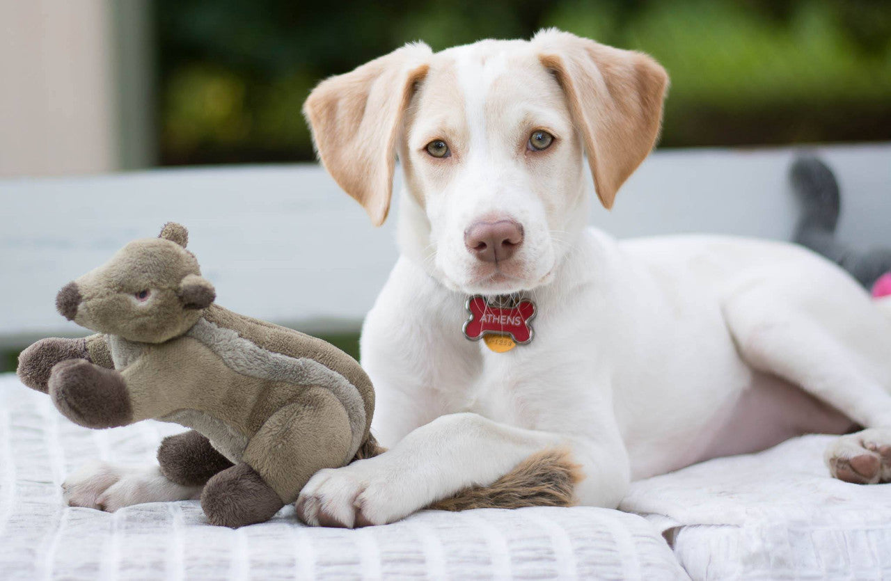 Fluff & Tuff "Peanut" - Chipmunk Plush Dog Toy