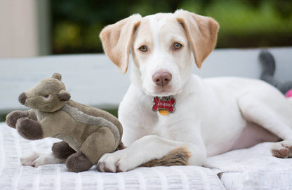 Fluff & Tuff "Peanut" - Chipmunk Plush Dog Toy