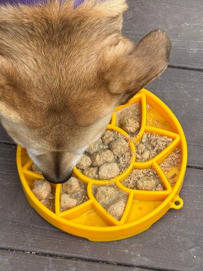 SodaPup Slow Feeder Tray, Sunflower