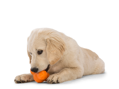 West Paw Tux Puzzle Treat-Dispensing Dog Toy