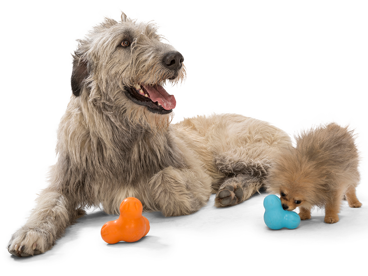 West Paw Tux Puzzle Treat-Dispensing Dog Toy