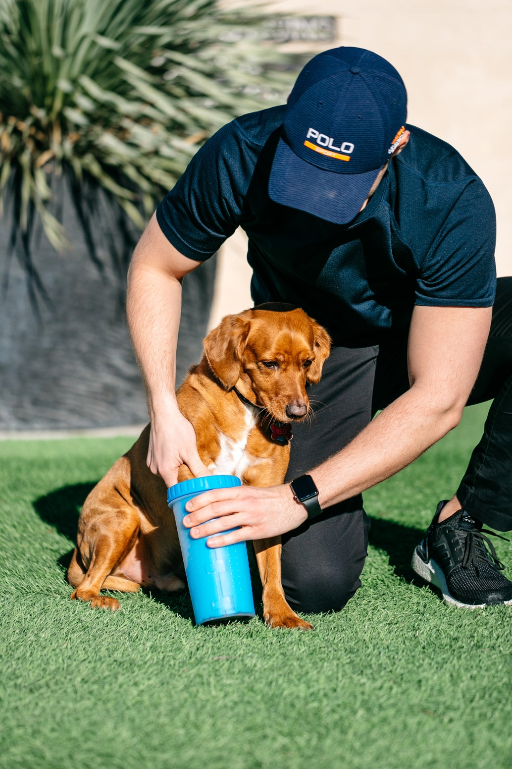 Dexas MudBuster Portable Dog Paw Washer/Paw Cleaner, Pro Blue