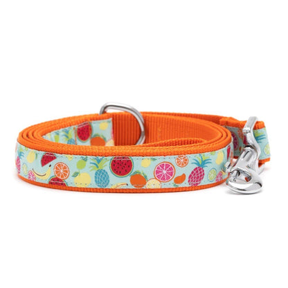 Worthy Dog - Tutti Frutti Lead