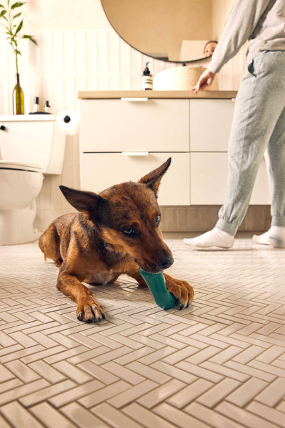 Woof Bite n' Brush for Dogs