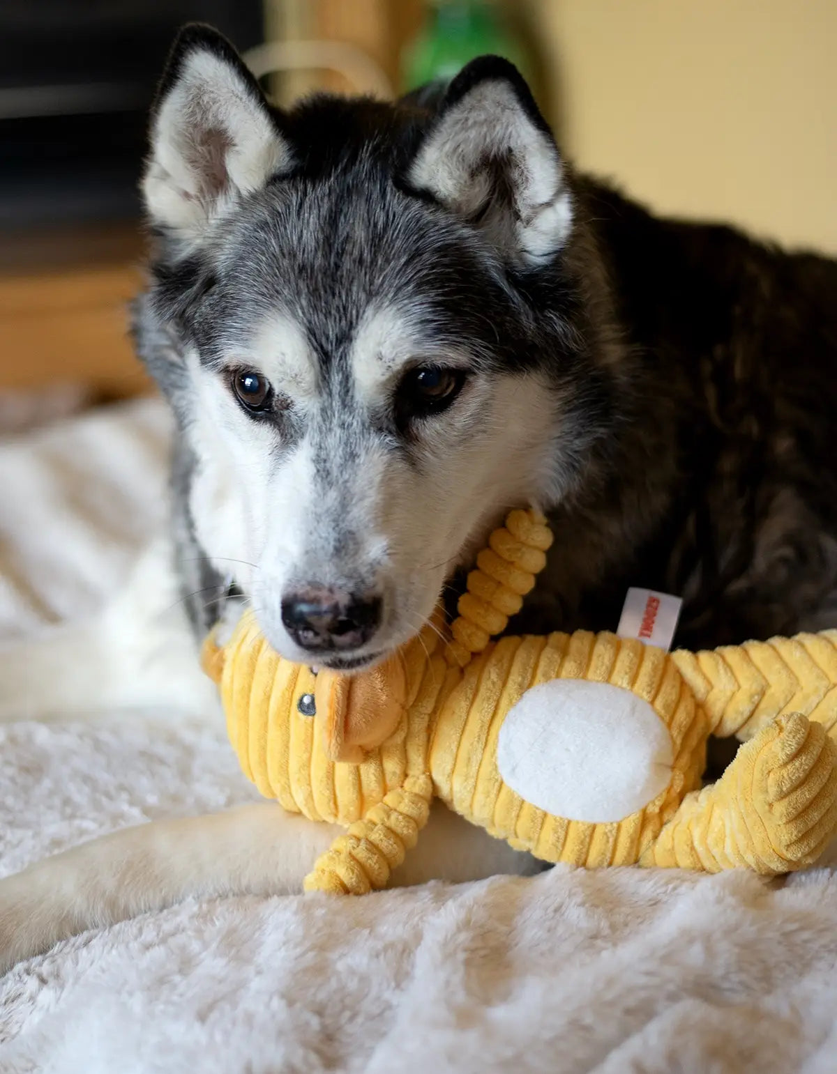 ThoozyPet Tuff & Cuddly Duck Plush Dog Toy