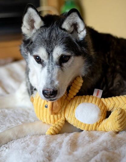 ThoozyPet Tuff & Cuddly Duck Plush Dog Toy