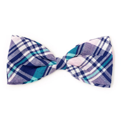 Worthy Dog - Madras Plaid Bow Tie
