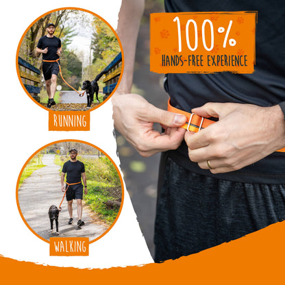 Mighty Paw Hands Free Bungee Leash 2.0