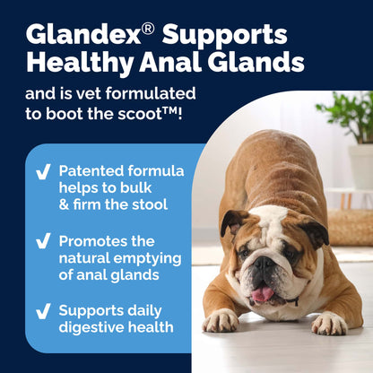 Glandex Anal Gland Support Soft Chews Peanut Butter 30ct