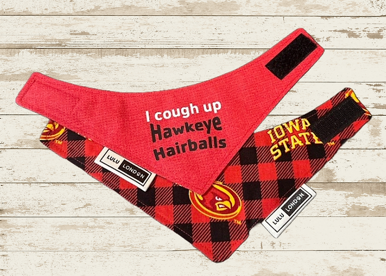 Lulu London Hawkeye Hairballs Custom Reversible Cat Bandana