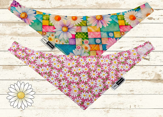Lulu London Spring Daisies Reversible Dog Bandana