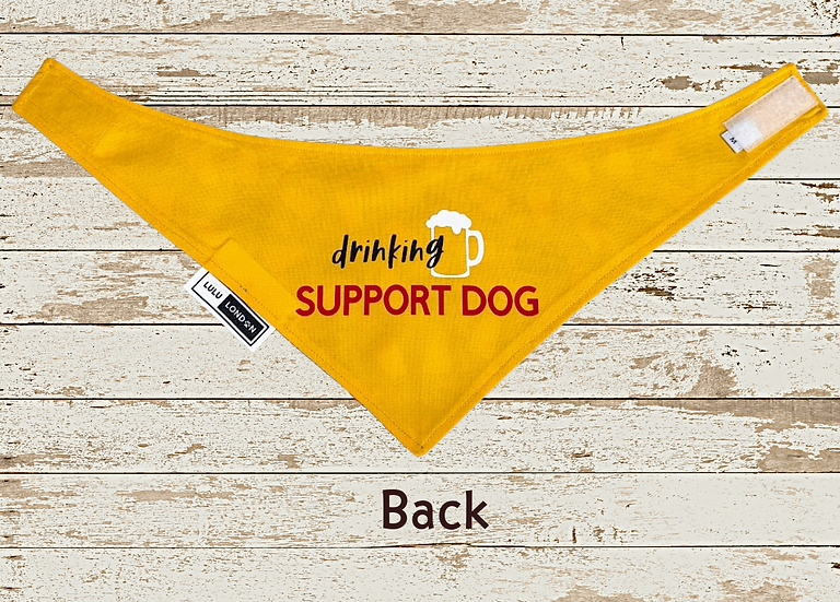 Lulu London Drinking Buddy Custom Reversible Dog Bandana