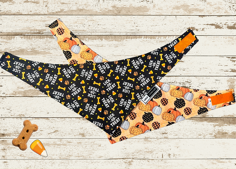 Lulu London Lick or Treat Custom Reversible Dog Bandana