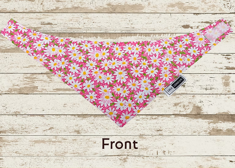 Lulu London Spring Daisies Reversible Dog Bandana