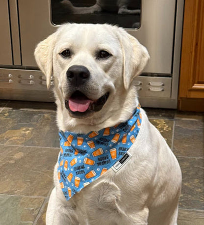 Lulu London Drinking Buddy Custom Reversible Dog Bandana