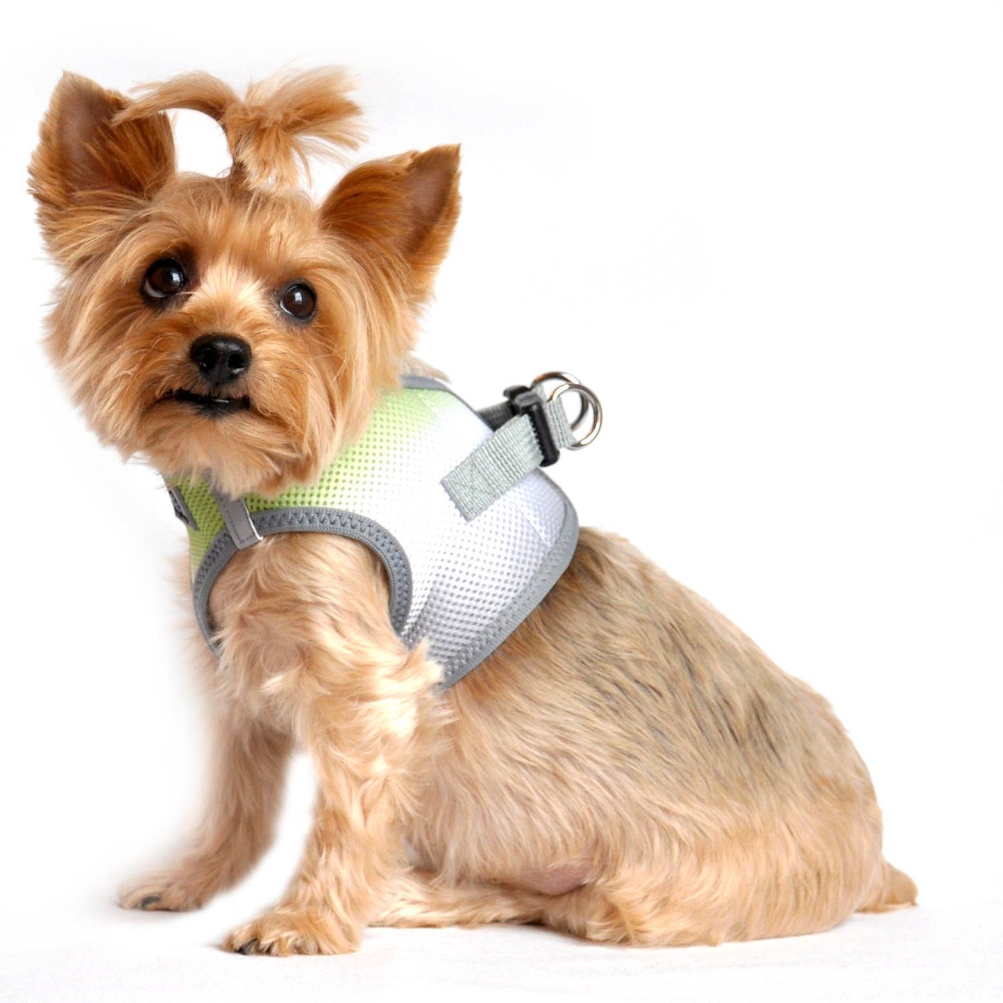 Doggie Design American River Ombre Dog Harness - Limestone Gray