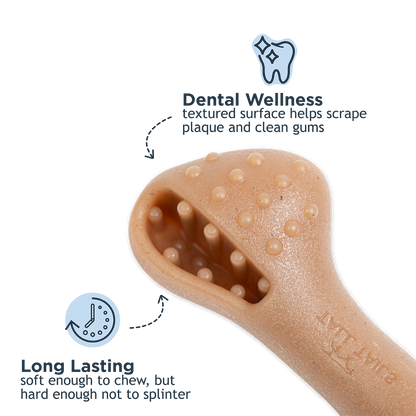 Tall Tails Freeze and Fill Chew Bone Dog Toy