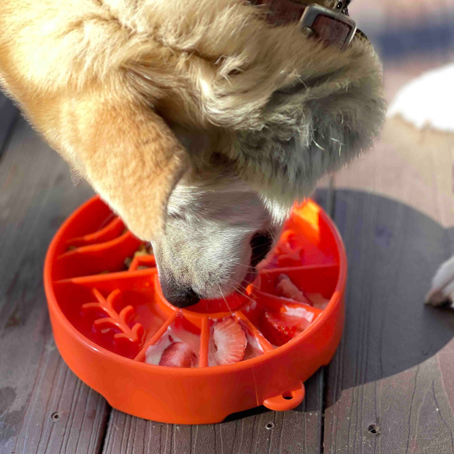 SodaPup Slow Feeder Bowl, Great Outdoors