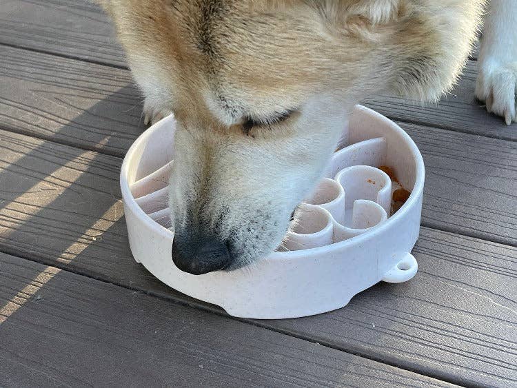 SodaPup Slow Feeder Bowl, Java