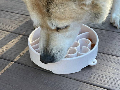 SodaPup Slow Feeder Bowl, Java