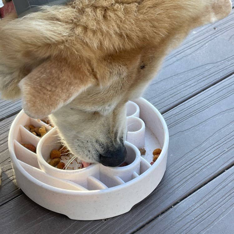 SodaPup Slow Feeder Bowl, Java