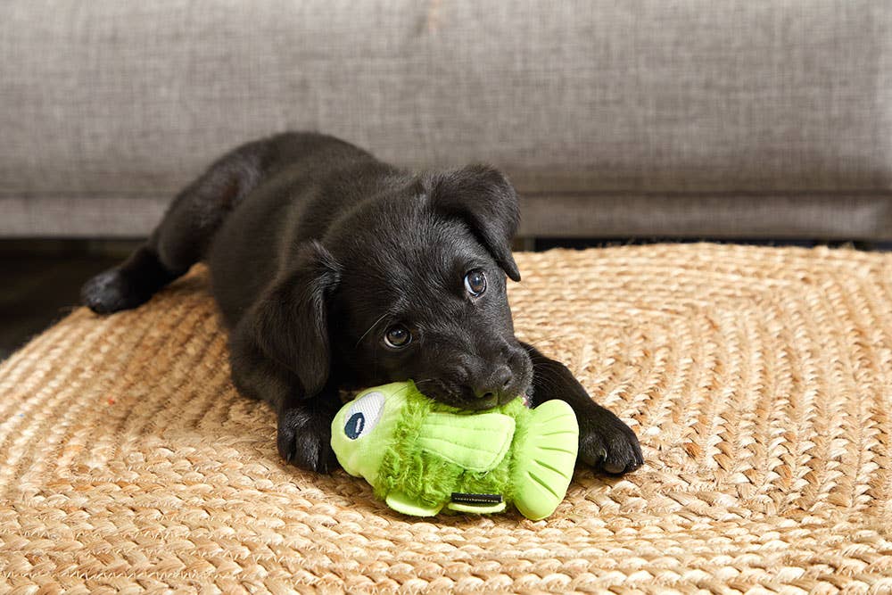 BARK Dog Drop the Bass Toy