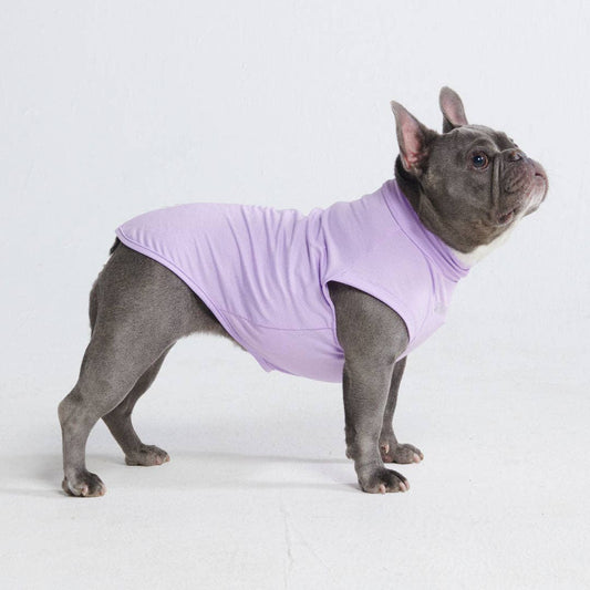 Spark Paws Sunblock Dog T-Shirt - Purple
