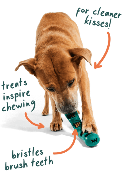 Woof Bite n' Brush for Dogs