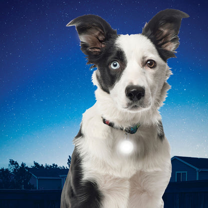 Nite Ize SpotLit LED Collar Safety Light - White