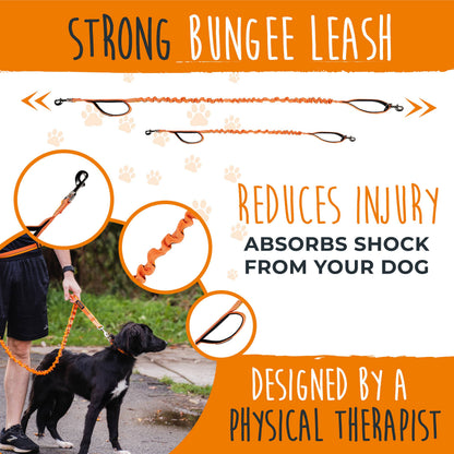 Mighty Paw Hands Free Bungee Leash 2.0