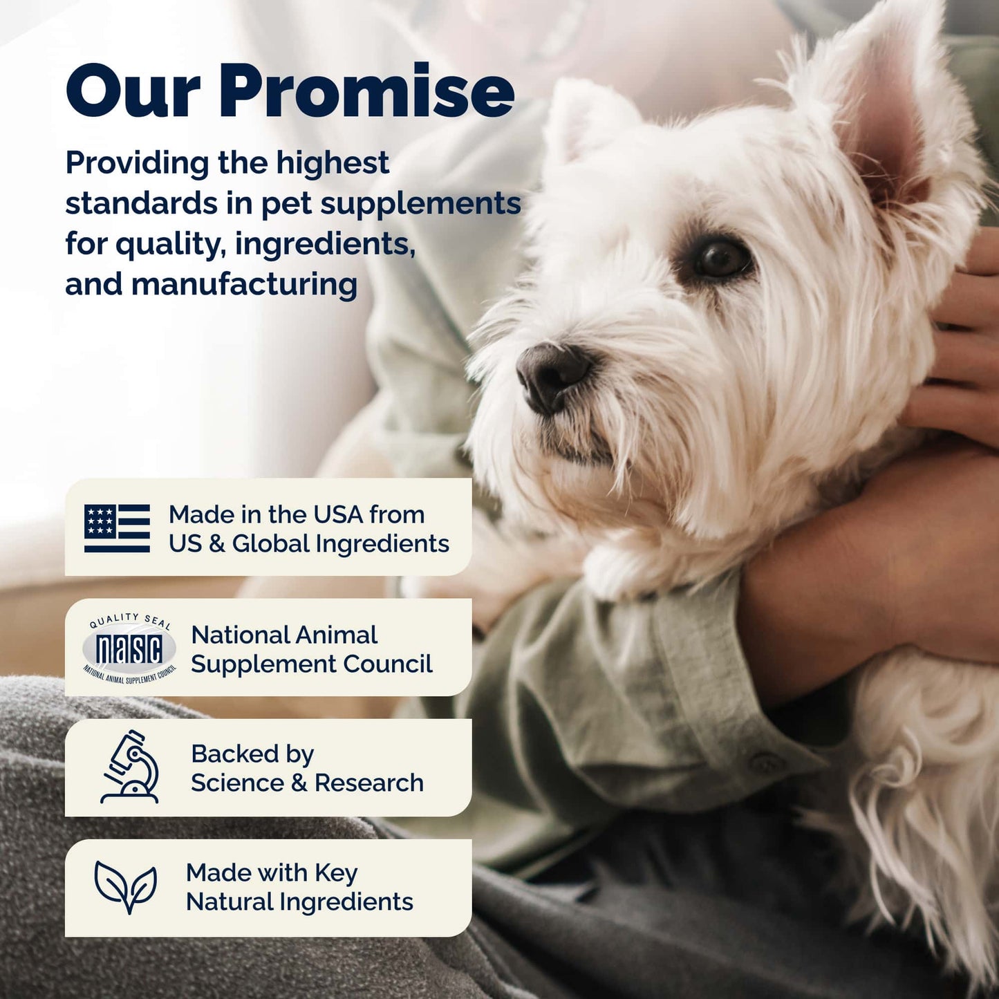 Glandex Anal Gland Support Soft Chews Peanut Butter 30ct