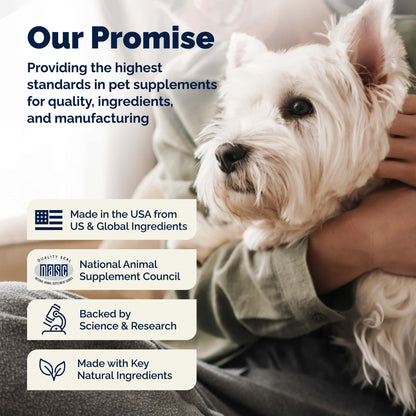 Glandex Anal Gland Support Soft Chews Peanut Butter 30ct
